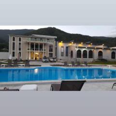 Gonadze Vineyards Hotel