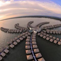 Golden Palm Tree Sepang Luxury Homestay