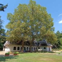 Garden Szálláshely