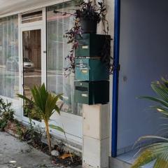 Joli studio
