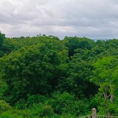 Hampi Anjana home stay