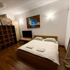 CENTRO House