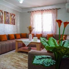Agréable Appartement bien équipé
