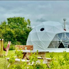 Alpaca Geo Dome
