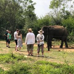 Forests for People Nidikumba Safari
