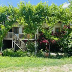Guest House Aleksandre