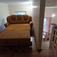 APARTMENT Lib House center Beltsy