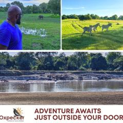 Oxpecker Safari Lodge