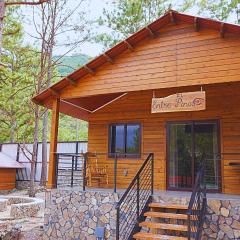 Apino Lodge del Celaque