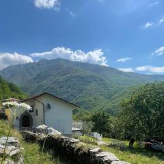 Il Ciliegio