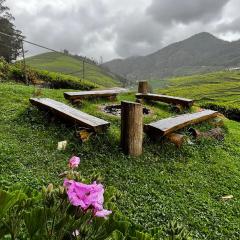 Tea Leaf Stays by Brown Tree Resorts