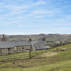 3 Bed in Bala 91365
