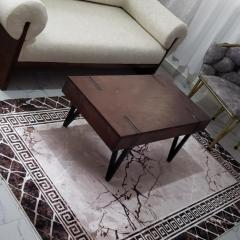 TrafinaHomes 06