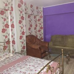 Ultracentral apartament Bacau