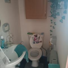 Alex s bed and breakfast
