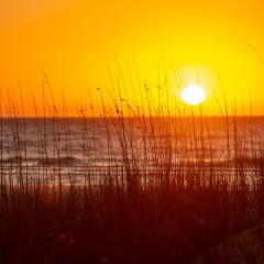 191 Twin Oaks at The Sea Pines Resort