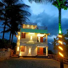 Palm view 2