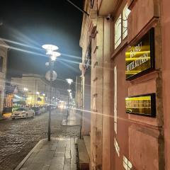 Hotel BABU