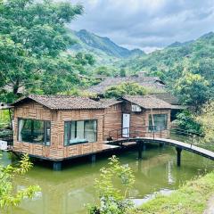 Wild Orchid- Lan Home