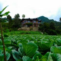 Saanidhya Homestay