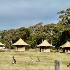 Tathra Beach Eco Camp