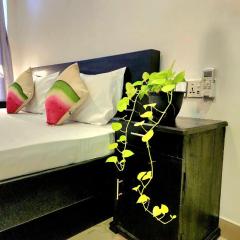 Tiny Villa Homestay - Only For Foreign Bookings