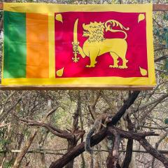 Yala Jungle Haven