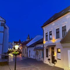 Hotel Zlaté Košice - Self reception