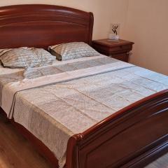 Apartment Plava Voda