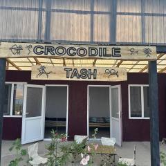 Crocodile Tash