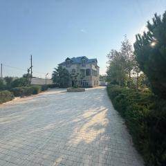 villa pirşağı