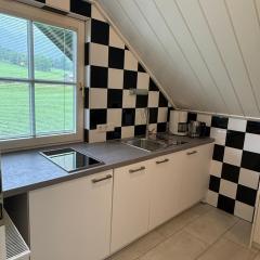 Neues Boutique Studio - Apartment mit Bergblick und Balkon in Ramsau - Sommercard inklusive