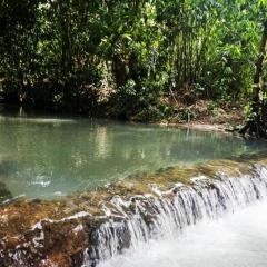 Ecocio Jungle Hostel