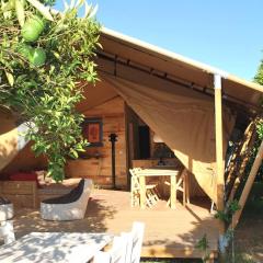 Campo Portakal Eco Glamping