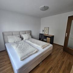 Apartment 2 Hügelruhe Mandach - 25 m2 - 1 Schlafzimmer - Ferien - Business