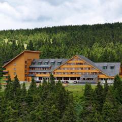 Hotel Petrovy kameny