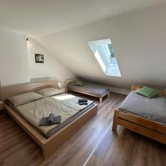 Apartmán Lesní ráj
