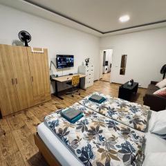 Apartment with Workspace and TV