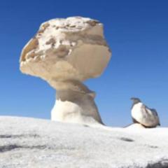 White Desert