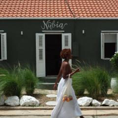 Nubia Suites - Boutique luxury appartments in Otrobanda - UNESCO area