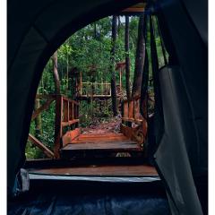 Forest IMAX