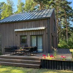 Viesu māja Silapurenes