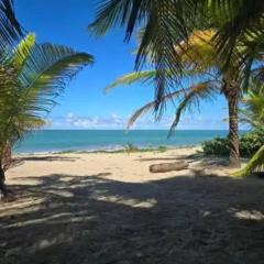 Ocean Motion Rental Casa en la playa con piscina cerca Yunque y VSjuan