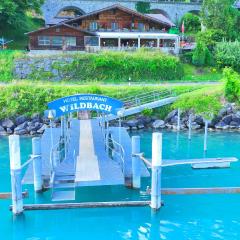 Hotel Wildbach Brienz