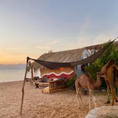 Live the bedouinlife