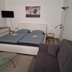 Apartmány Fenix
