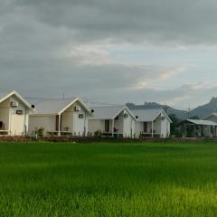 Tiny house homestay & cafe T1