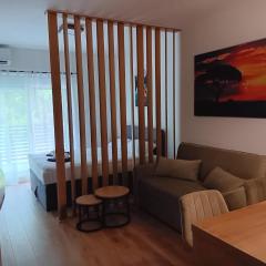 Studio apartman Hušnjakovo Hill