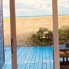 Classic vintage house with sea view - Sønderho