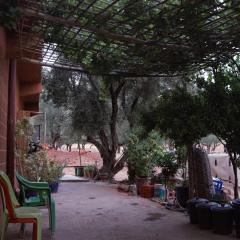 Anwal Ouzoud, Rural Nature Lodge, Coffee Spot & 8-Ball Billiards